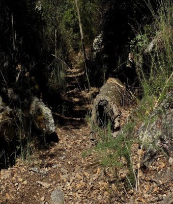 RUTA SIERRA MIRABUENO en Badajoz
