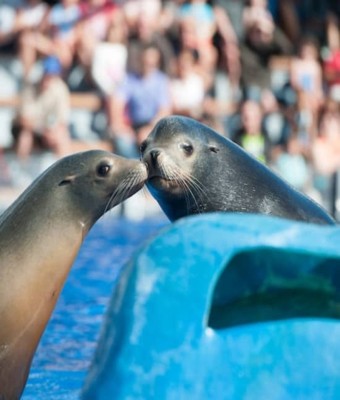 Marineland Mallorca