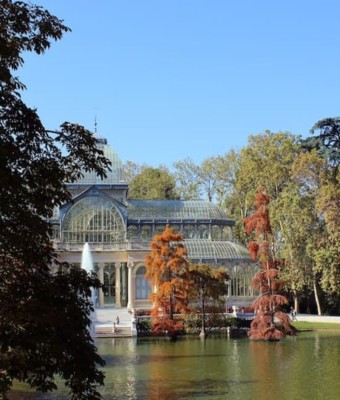 Visita guiada al Parque del Retiro y degustación de tapas en Madrid
