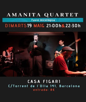 AMANITA QUARTET Jazz fusion en vivo en Barcelona