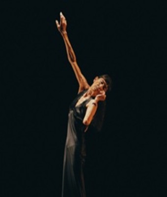 Delicada caída - Provisional Danza / Carmen Werner en MADRID - LA CABRERA