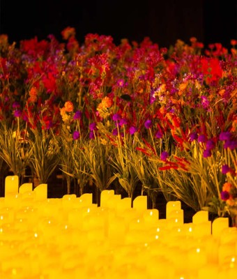 Candlelight: Lo Mejor de Bridgerton en Malaga