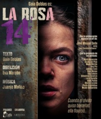 La Rosa 14 en VALLADOLID