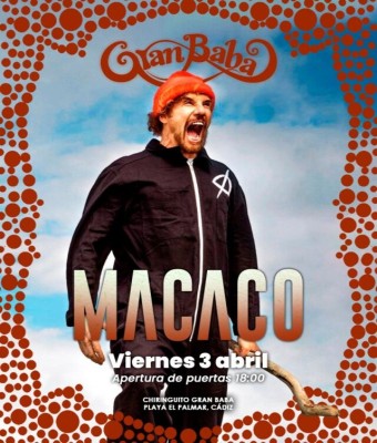 Macaco en Gran Baba - El Palmar en Cádiz