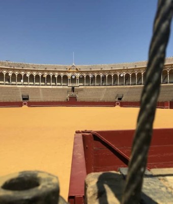 Real Maestranza: Visita guiada en Seville