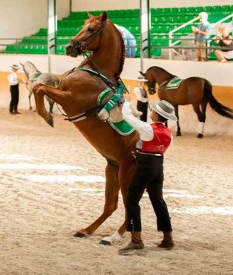 Ritmo a Caballo en Málaga