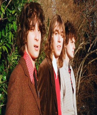 Sharp Pins en Madrid