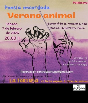 Verano animal - poesía encordada en Madrid