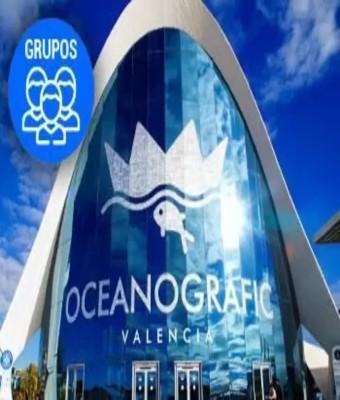 Grupos Oceanogràfic en Valencia
