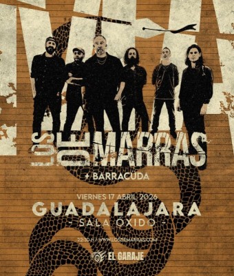 Rat-Zinger | Sala Babylon | León
