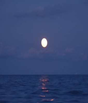 Bajo la Luna Llena: Navegando por Barcelona