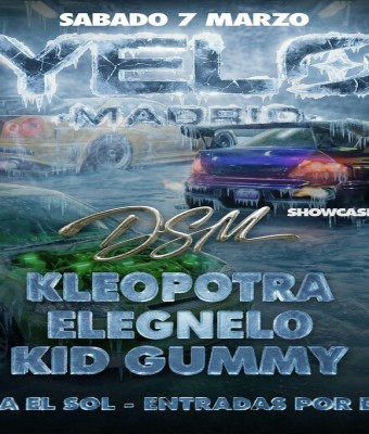 YELO: dsm en Madrid