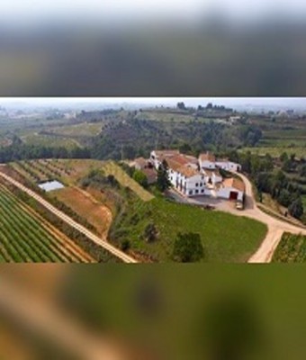 Desayuno, visita a la bodega y cata de vinos en GUARDIOLA DE FONT-RUBÍ