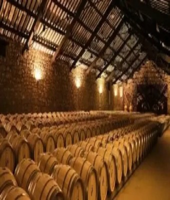Bodega Bela en Burgos