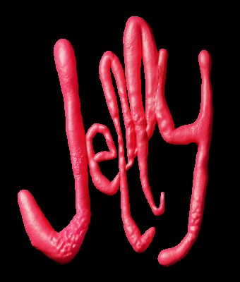 JELLY 2026 en Lugo