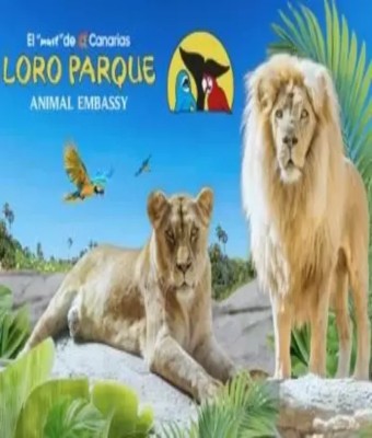 Loro Parque en Tenerife