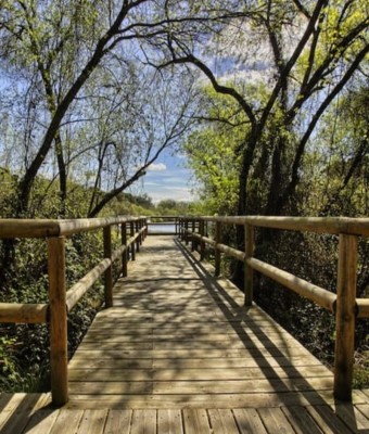 Parque nacional de Doñana y el Rocío: excursión desde Sevilla en Seville