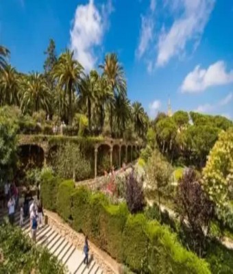 Visita Guiada Park Güell en Barcelona