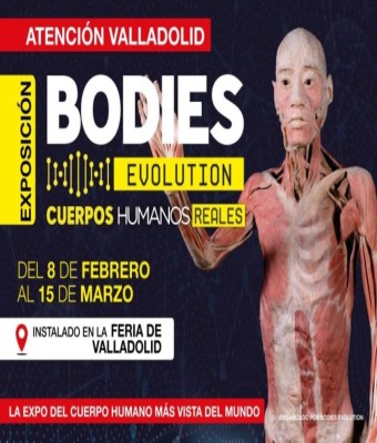 BODIES EVOLUTION EN VALLADOLID