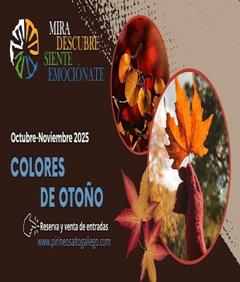 Visita Guiada Colores de Otoño, Hayedo del Pacino en Sallent de Gállego