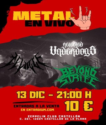 DELUGGE + REJECTED UNDERDOGS + BEYOND STRIFE en Castellón/Castelló