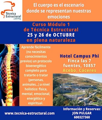 Curso Técnica Estructural CACERES en Móstoles