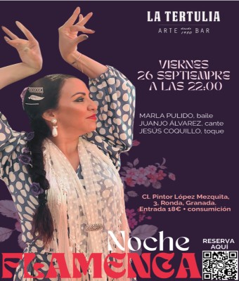 Noche Flamenco  en Granada