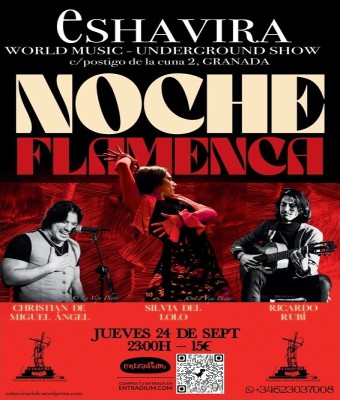 NOCHE FLAMENCA en Granada
