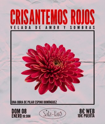 CRISANTEMOS ROJOS en Palmas, Las