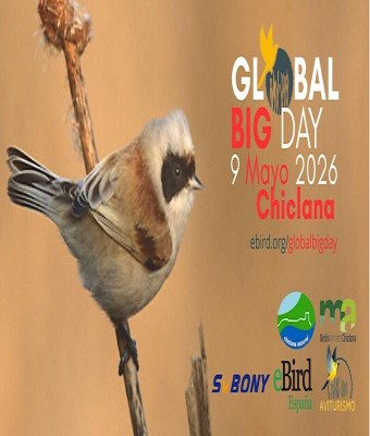 GLOBAL BIG DAY - CHICLANA 9 de Mayo 2026 en Chiclana de la Frontera
