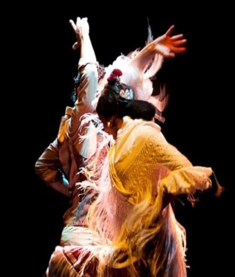 Museo del Baile Flamenco: Entrada + Puro Espectáculo Flamenco en Seville