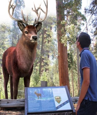 Meta Park Zoo en Girona