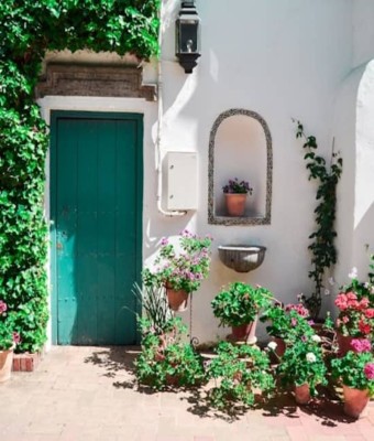 Palacio de Viana y patios: Visita guiada en Córdoba