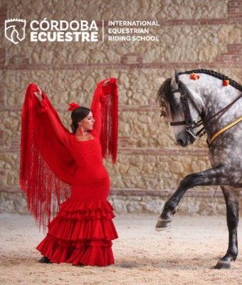 Pasión y Duende del Caballo Andaluz en Córdoba