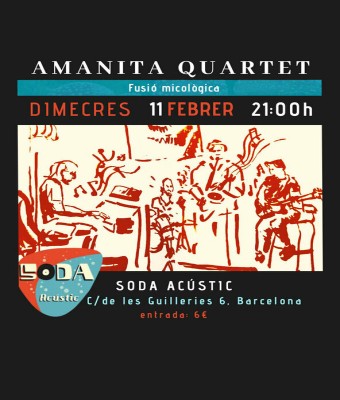 AMANITA QUARTET al Soda en Barcelona