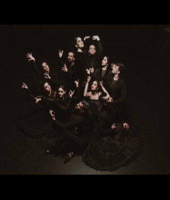 TIERRA BENDITA  -  BALLET FLAMENCO DE ANDALUCÃA en Jerez