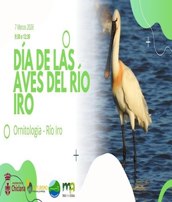 Las aves del Río Iro 7 Marzo 2026 Chiclana de la Frontera