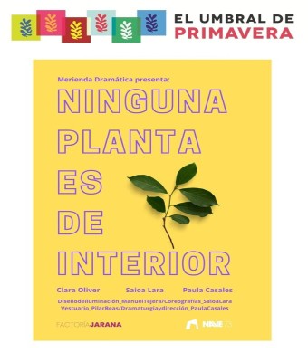 NINGUNA PLANTA ES DE INTERIOR en Madrid