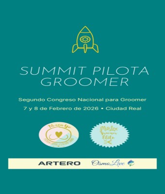 SUMMIT PILOTA GROOMER 780226 en Ciudad Real