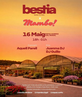bestia x mambo! en Barcelona
