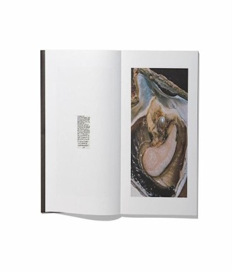 Presentació: Anatomy of an Oyster de Rita Puig-Serra en Palma