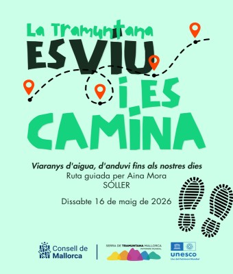 Viaranys d'aigua, d'anduvi fins als nostres dies en Balears, Illes