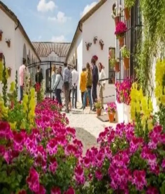 Bodega Alvear en Montilla - Córdoba en Sevilla