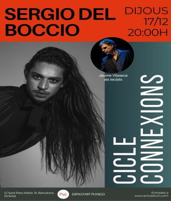 CICLE CONNEXIONS: SERGIO DEL BOCCIO (Mike Oldfield) en Barcelona