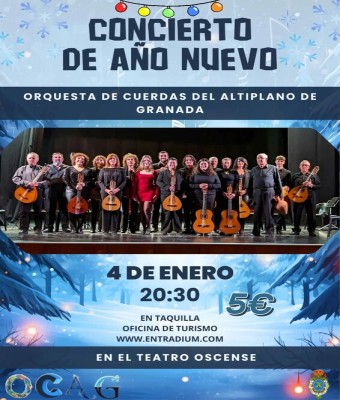 CONCIERTO DE AÑO NUEVO - Orquesta de Cuerdas del Altiplano de Granada