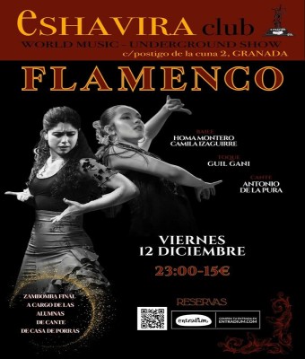 Flamenco  en Granada