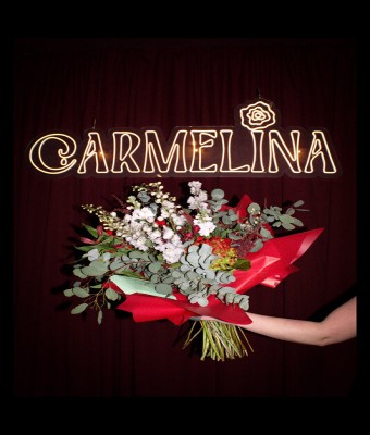 CARMELINA: TABLAO FLAMENCO, PEÑA  FLAMENCA NIÑO DE VÉLEZ en Málaga