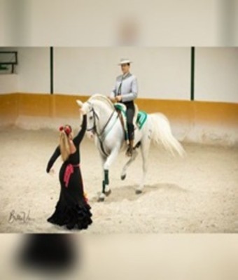 Andalusian Night en TORREMOLINOS