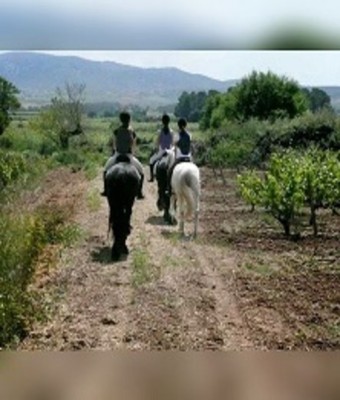Visita a bodega con cata y ruta a caballo en GUARDIOLA DE FONT-RUBÍ