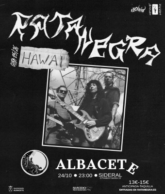 Rata Negra en Albacete 